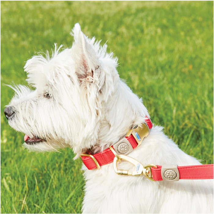 2022 Weatherbeeta Elegance Dog Collar 10000580 - Red